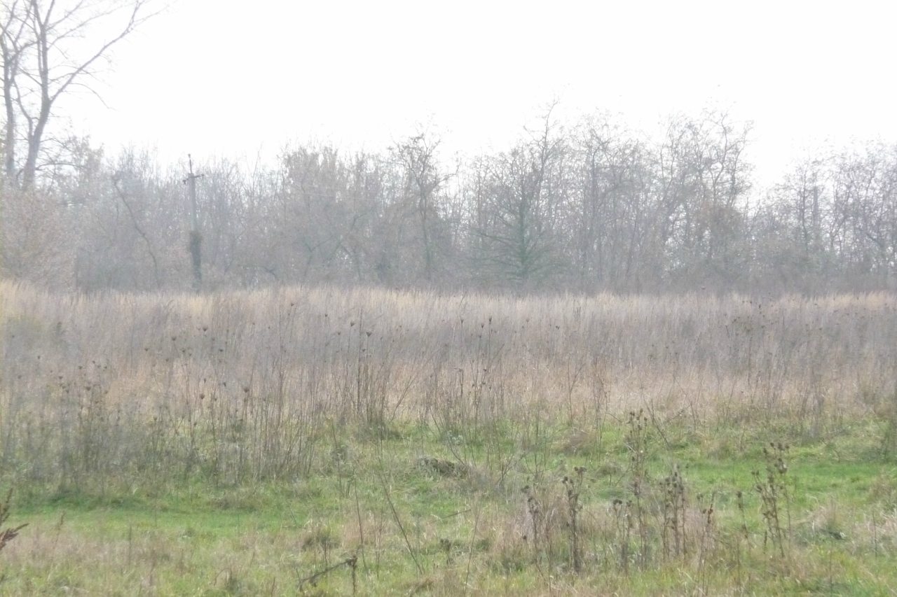 моя комаровка - Комаровка