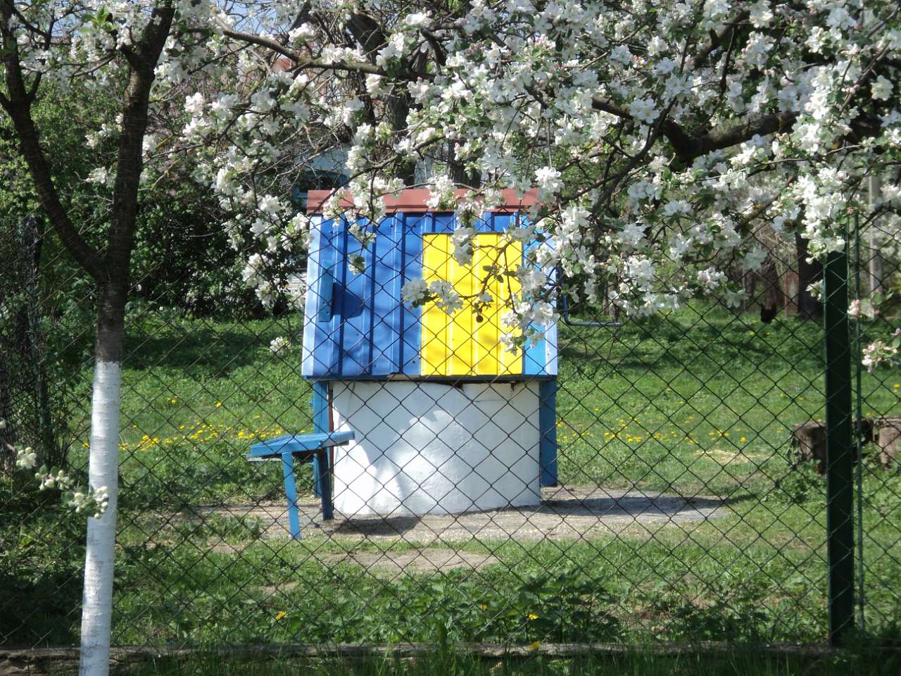 Весна 2012 - Лебеді