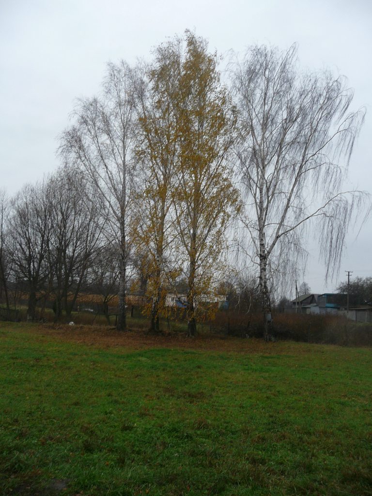 моя комаровка - Комаровка