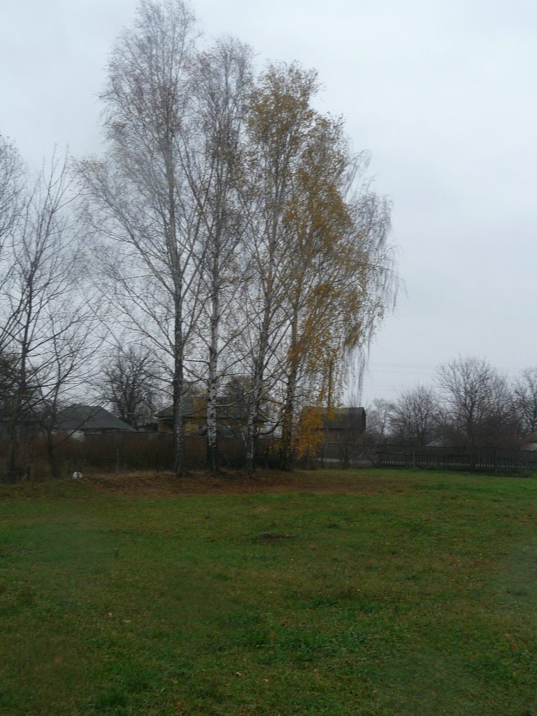 моя комаровка - Комаровка