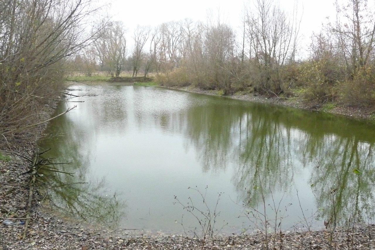 моя комаровка - Комаровка