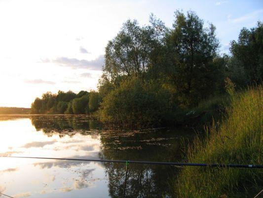 Стара Синява в інтернеті - Старая Синява