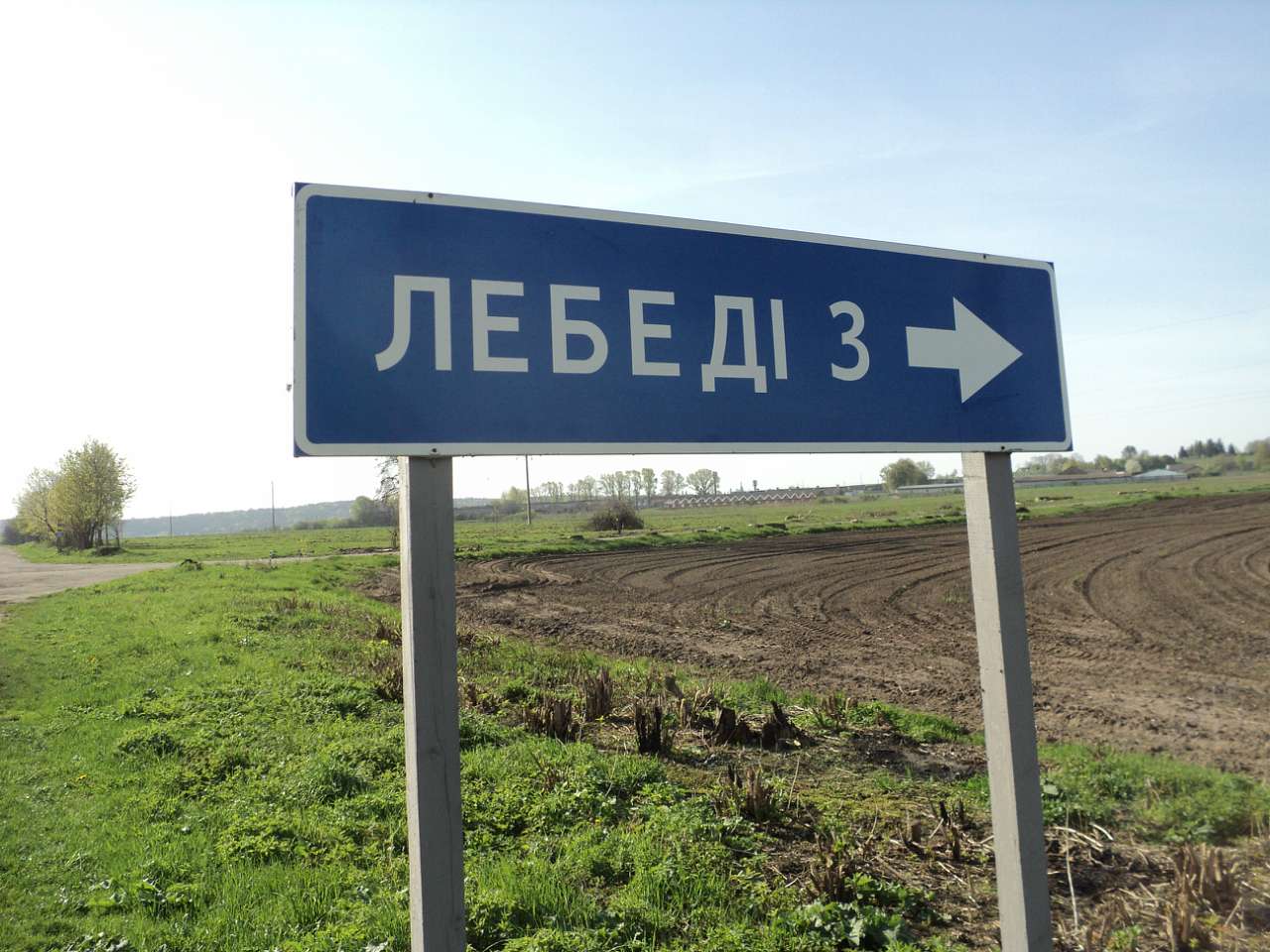 Весна 2012 - Лебеді