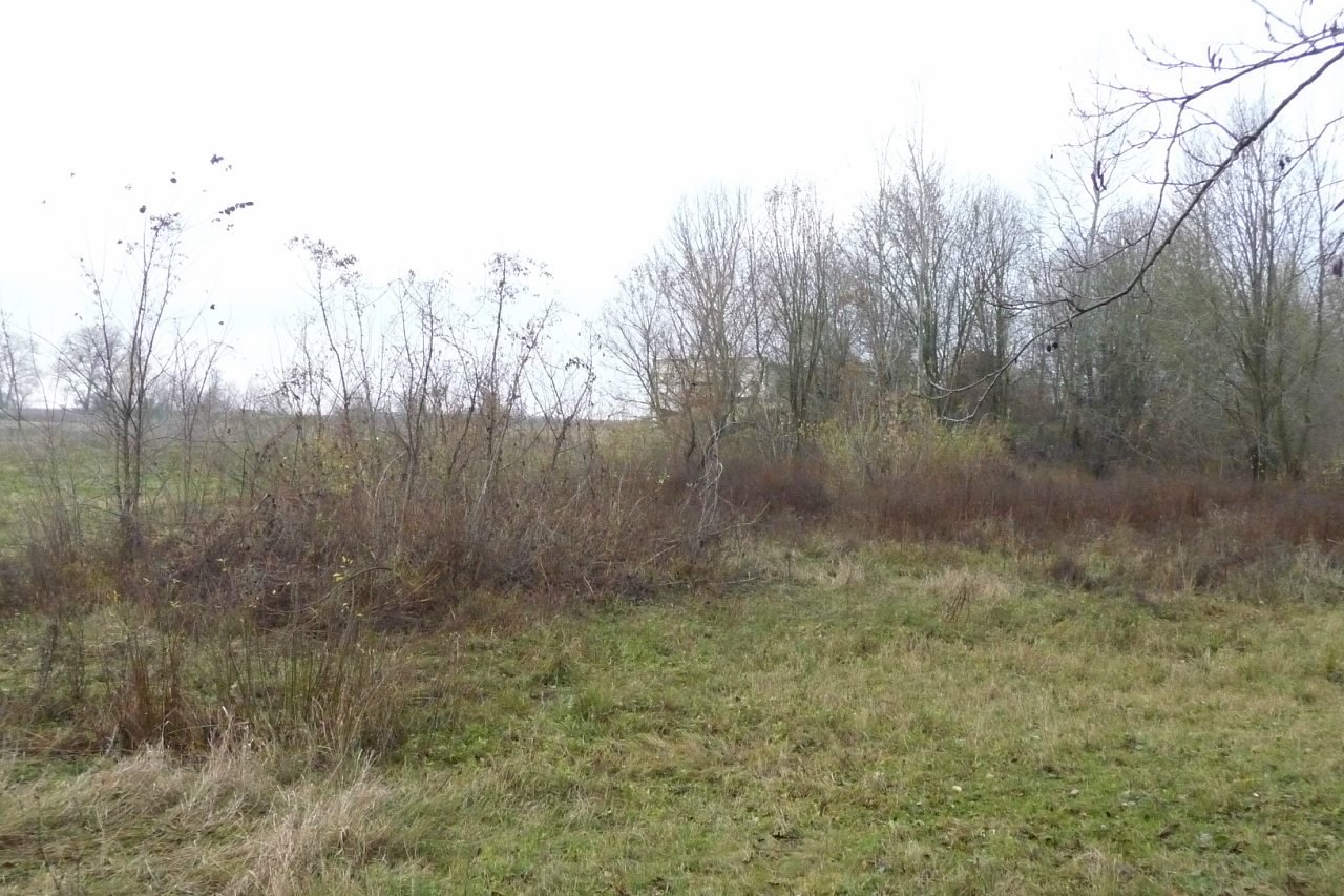 моя комаровка - Комаровка