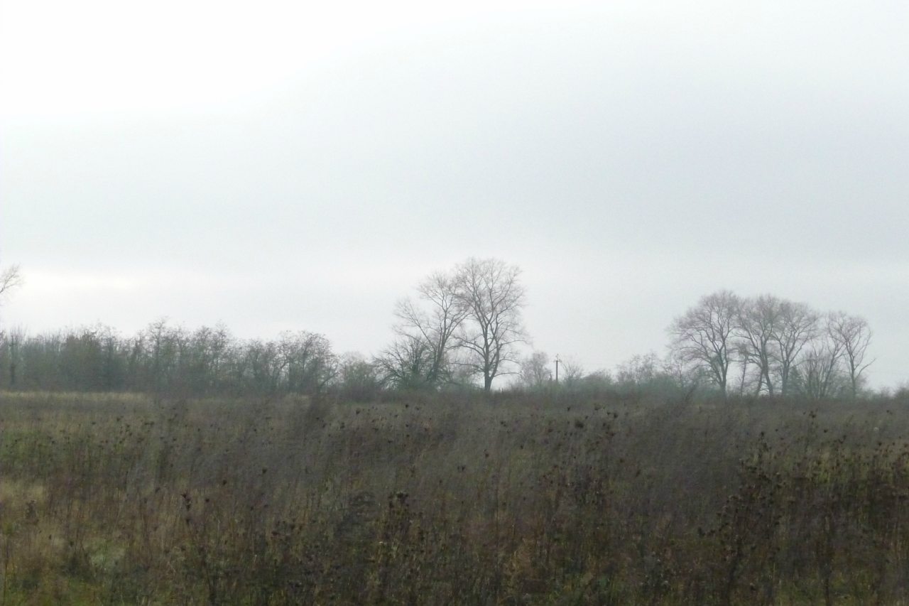 моя комаровка - Комаровка