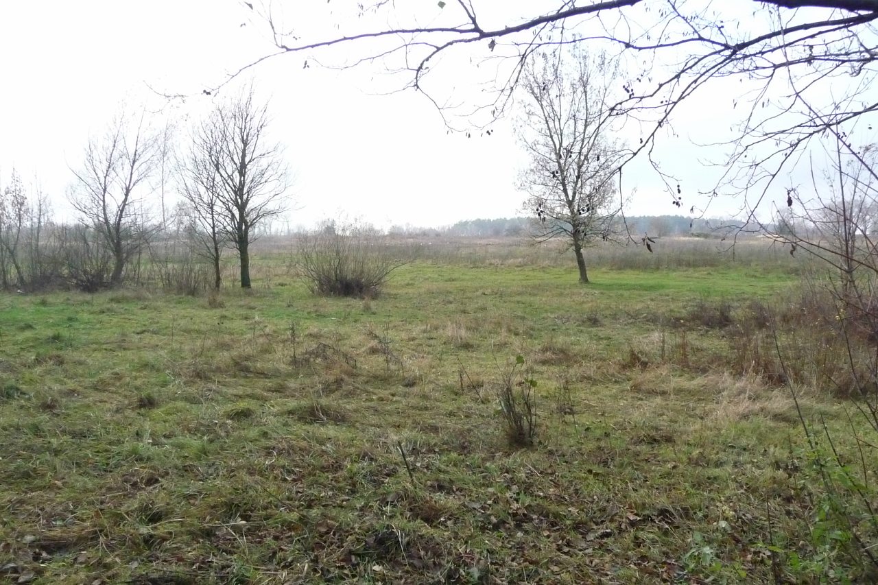 моя комаровка - Комаровка