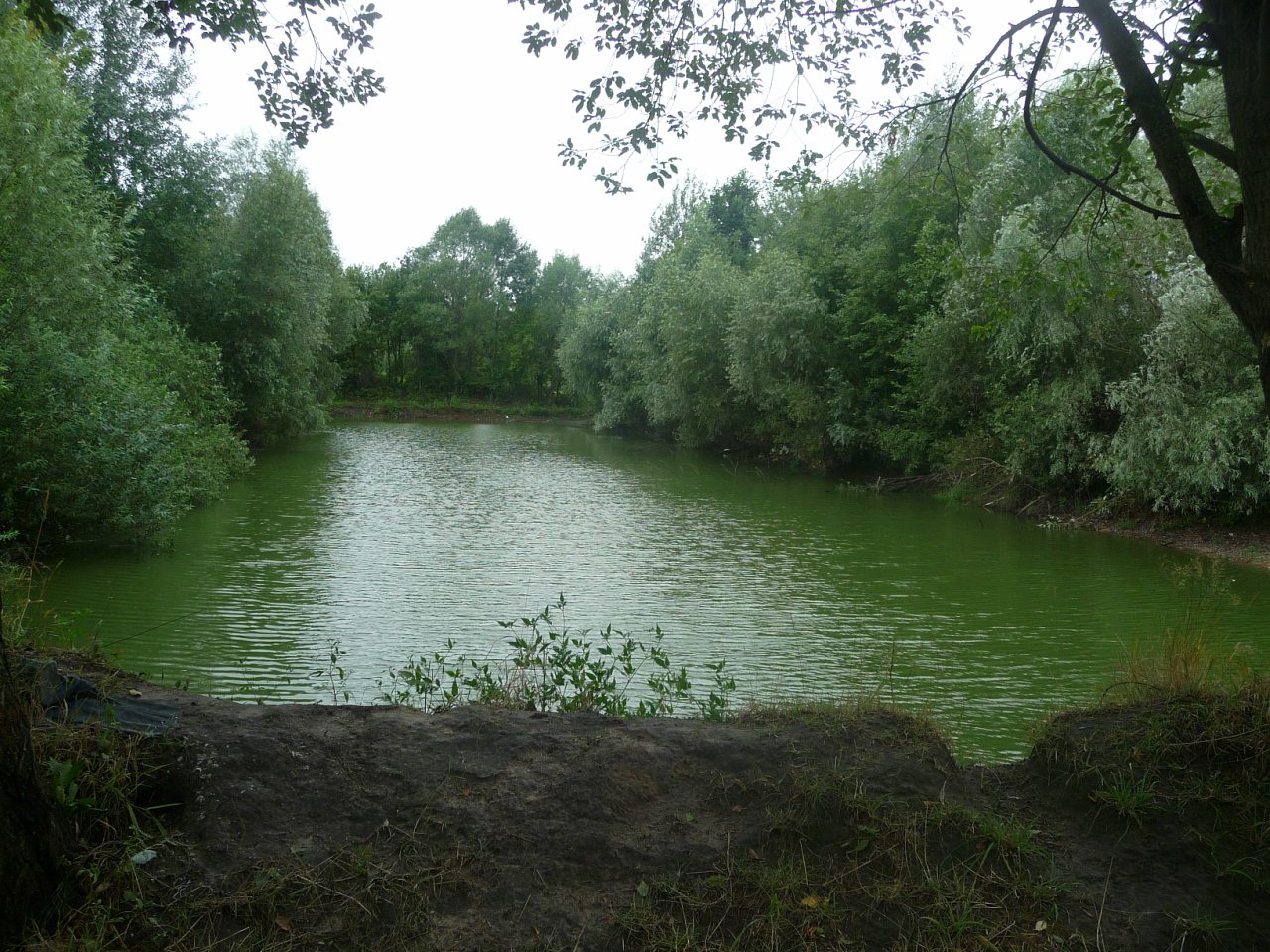 моя комаровка - Комаровка