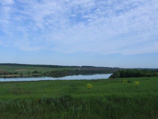 Стара Синява в інтернеті - Старая Синява