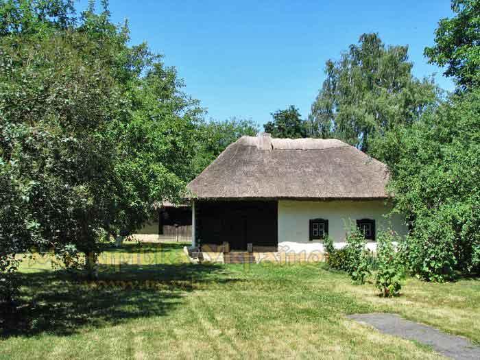 Чорнухи в інтернеті - Чорнухи