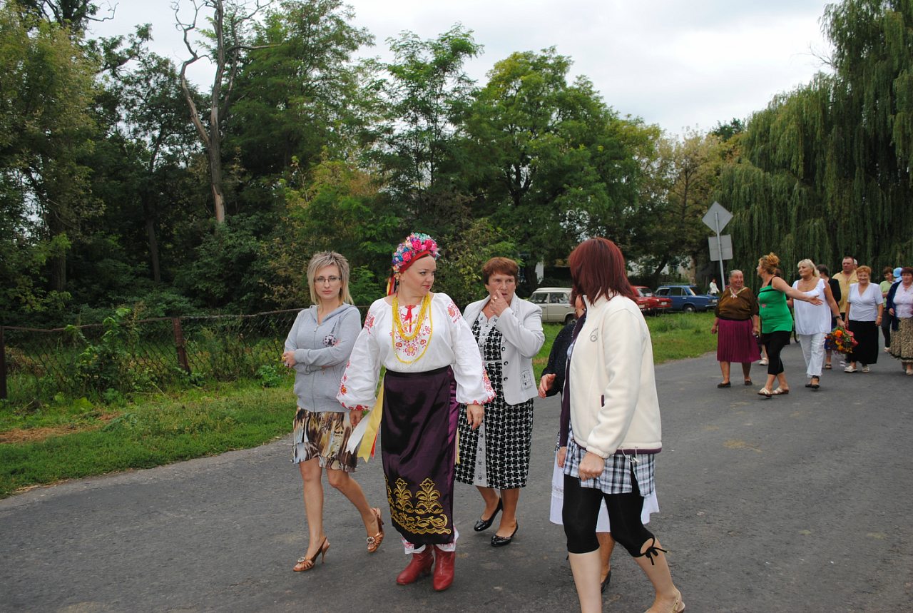 День села 2012 - Strokachi