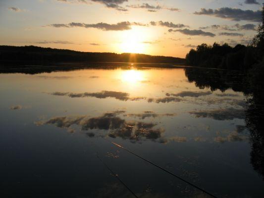 Стара Синява в інтернеті - Старая Синява