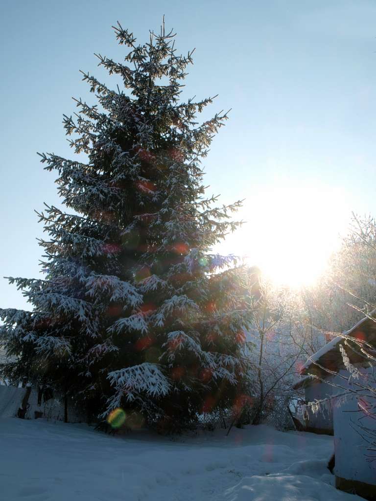 Вибудів моїми очима - Вибудів