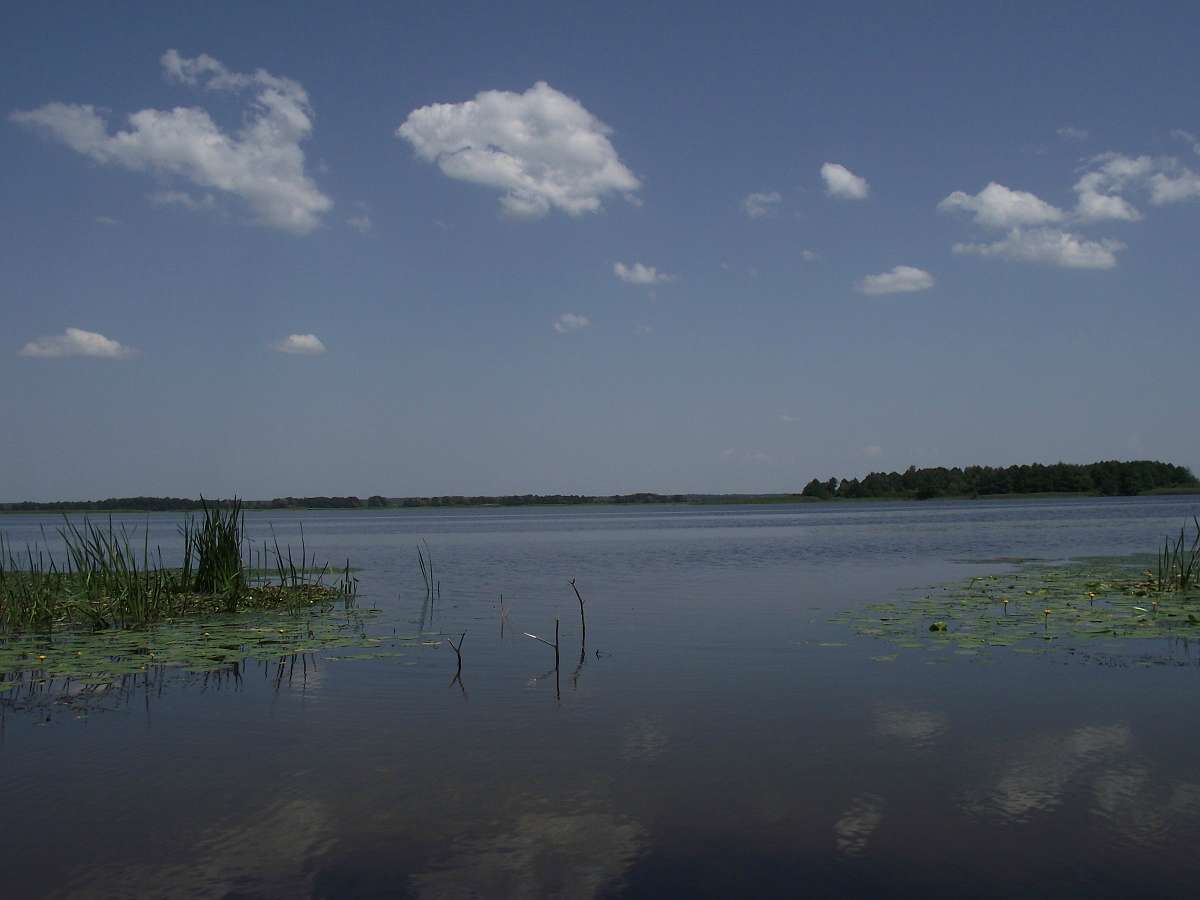 Витичів. Краєвиди - Витачів