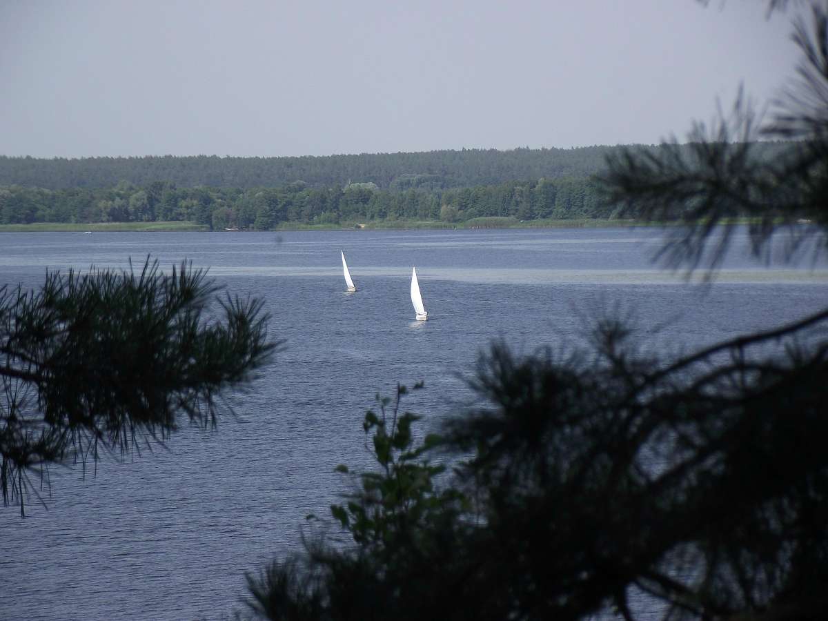 Витичів. Краєвиди - Витачів