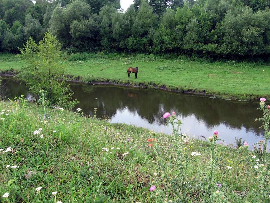 Рідні оку краєвиди - Любар