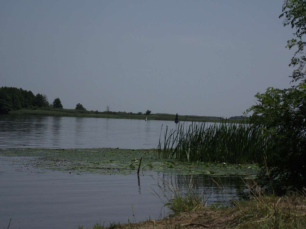 Витичів. Краєвиди - Витачев