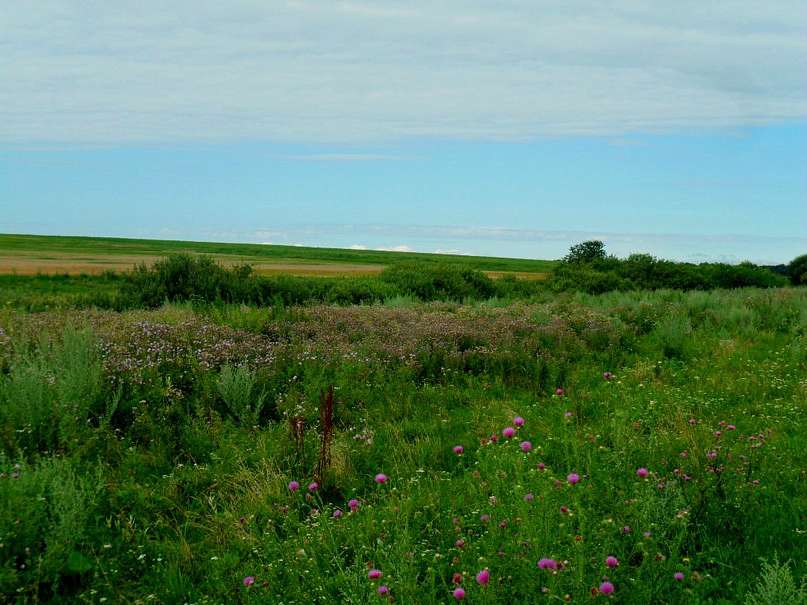 Краєвиди села. - Саверці