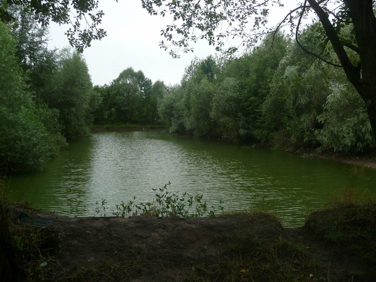 моя комаровка - Комаровка