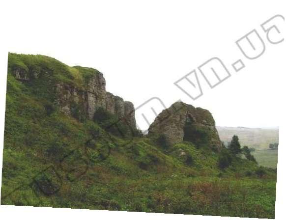 Попелюхи в інтернеті - Попелюхи