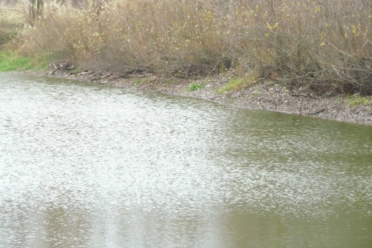 моя комаровка - Комаровка