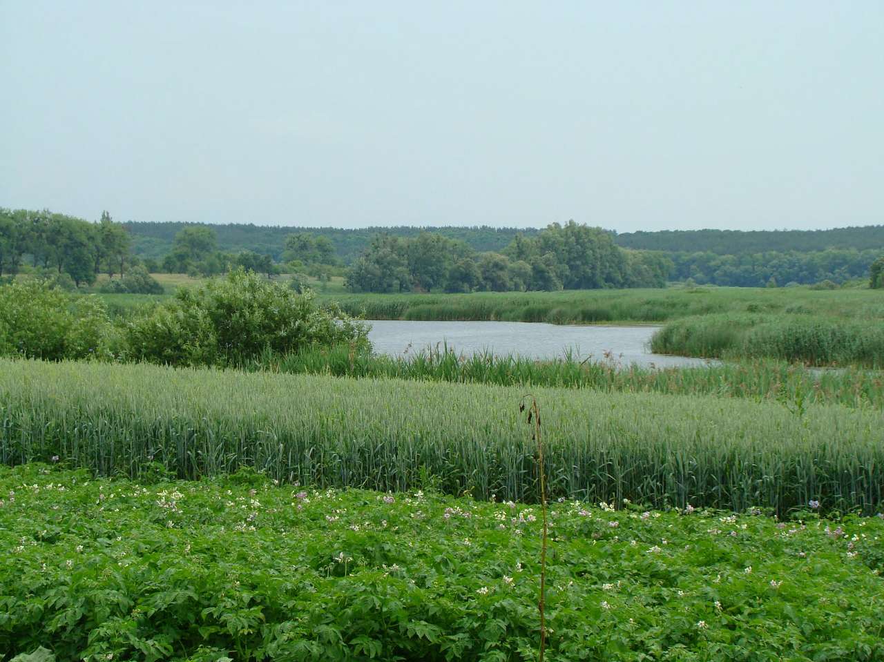 с Соколів Брід на мапі - Соколів Брід