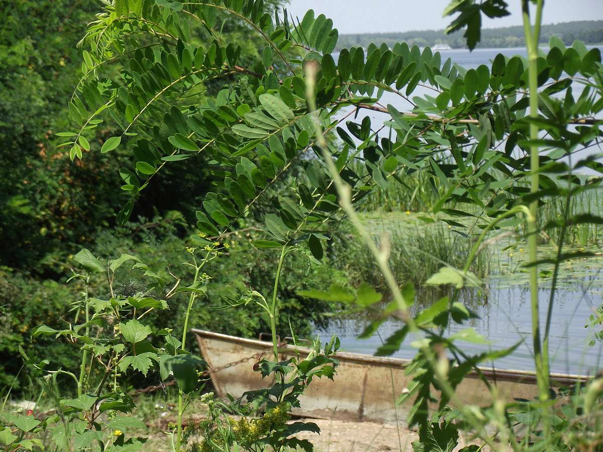 Витичів. Краєвиди - Витачів