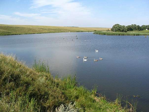 c Андрушки - Andruski