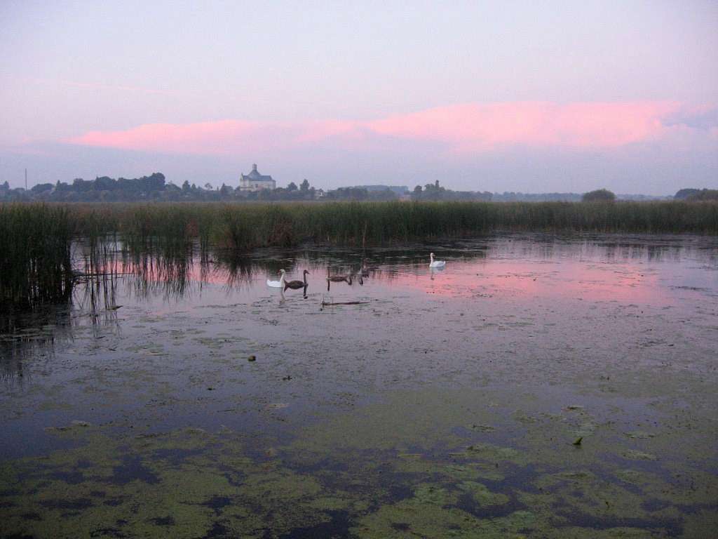 Любарські світанки - Любар