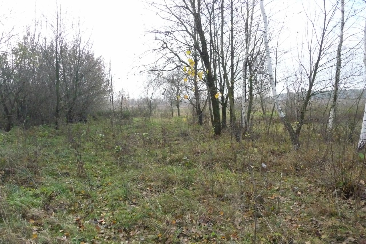 моя комаровка - Комаровка