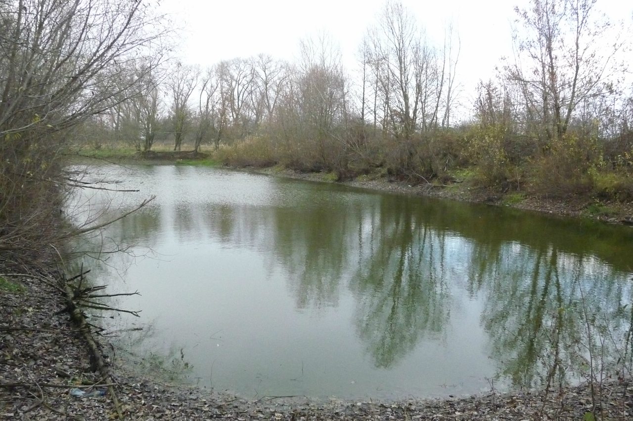 моя комаровка - Комаровка