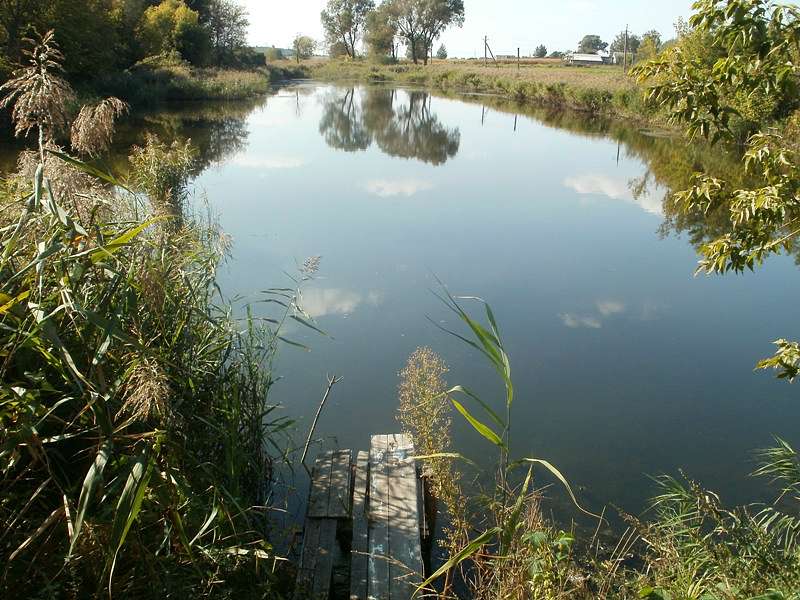 cЛисівка-природа - Лисівка