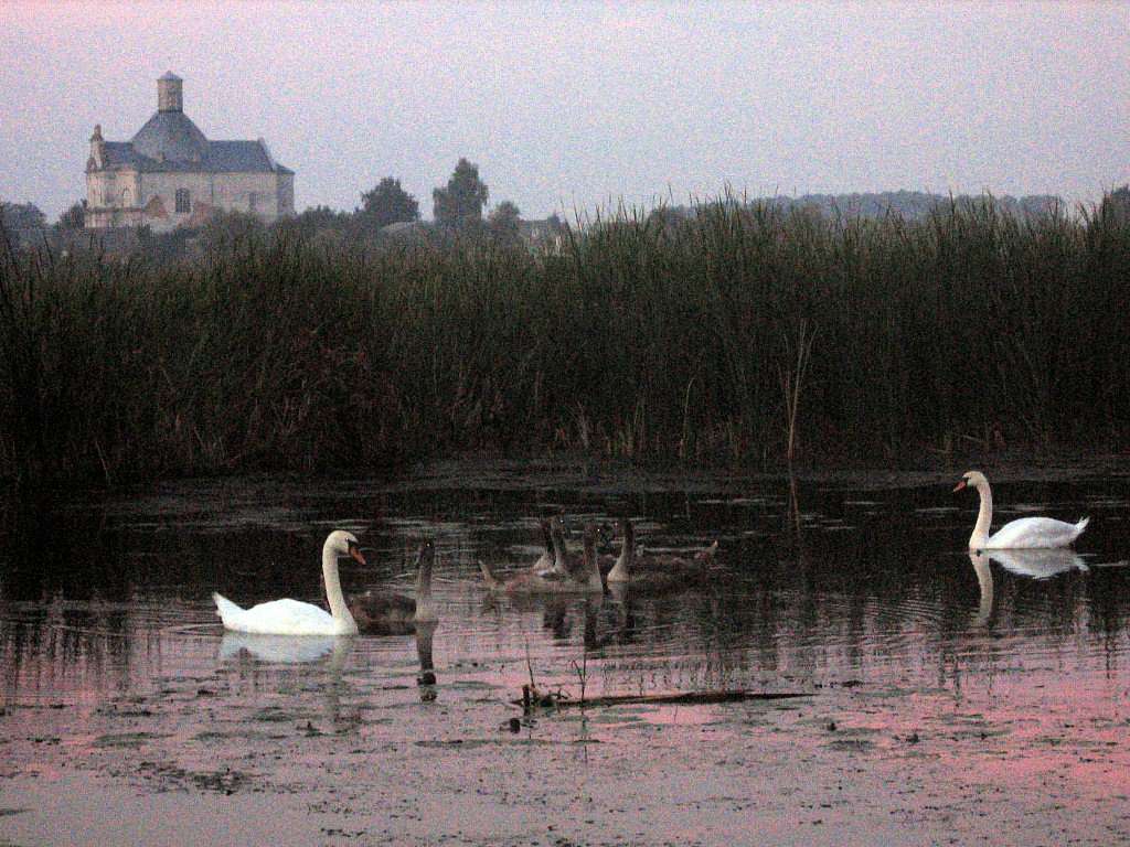 Любарські світанки - Любар