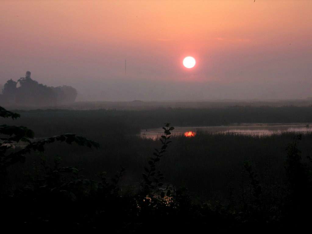 Любарські світанки - Любар