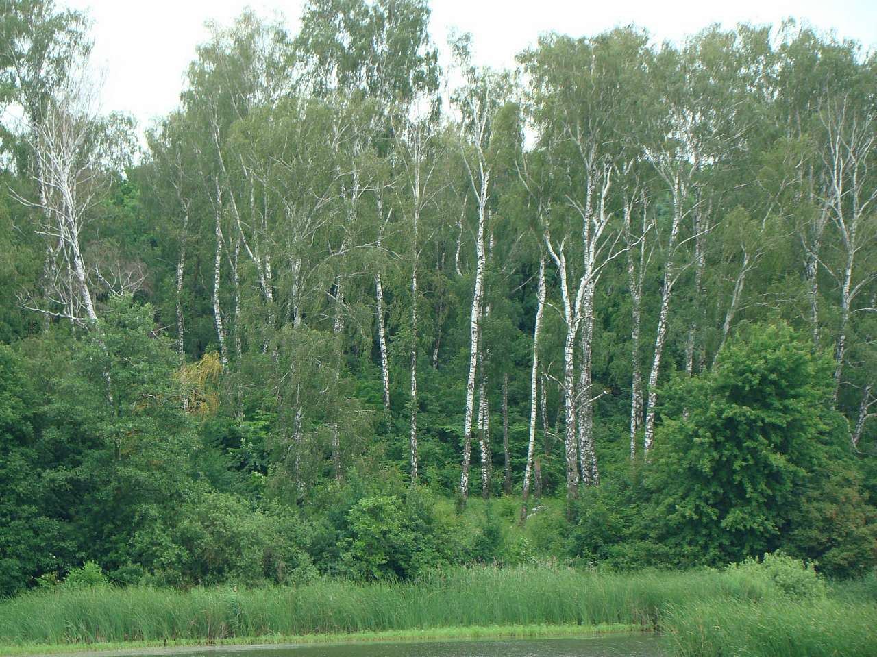 с Соколів Брід на мапі - Соколів Брід