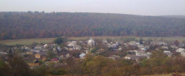 Шупарка в інтернеті - Шупарка