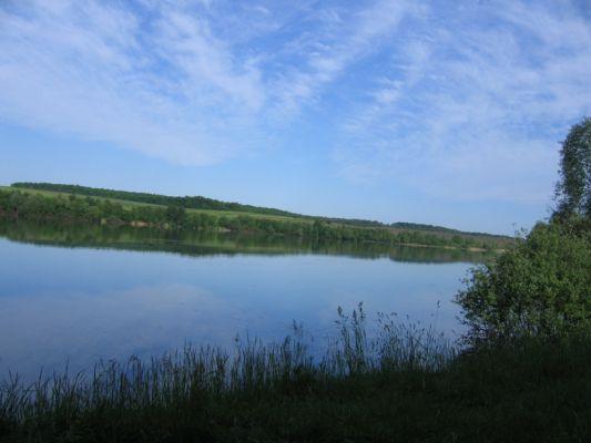 Стара Синява в інтернеті - Стара Синява