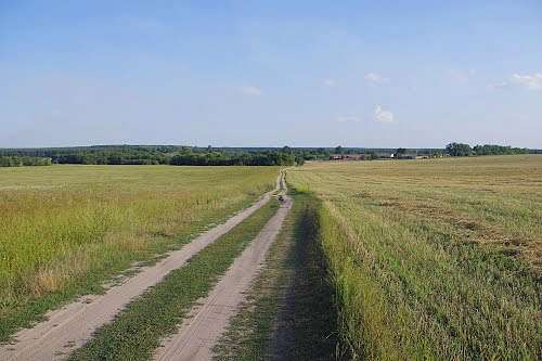 c. Сущанка природа - Сущанка