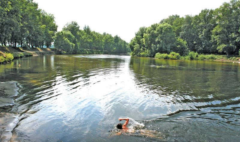 Прядівка в інтернеті - Прядівка