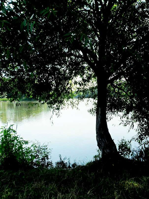 Краєвиди села. - Саверці