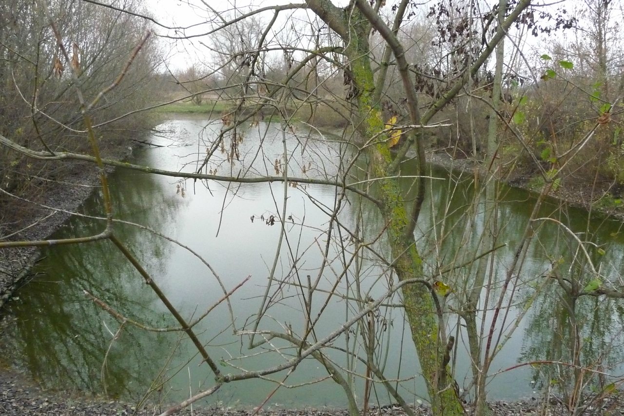 моя комаровка - Комаровка