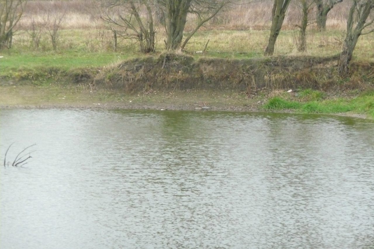 моя комаровка - Комаровка