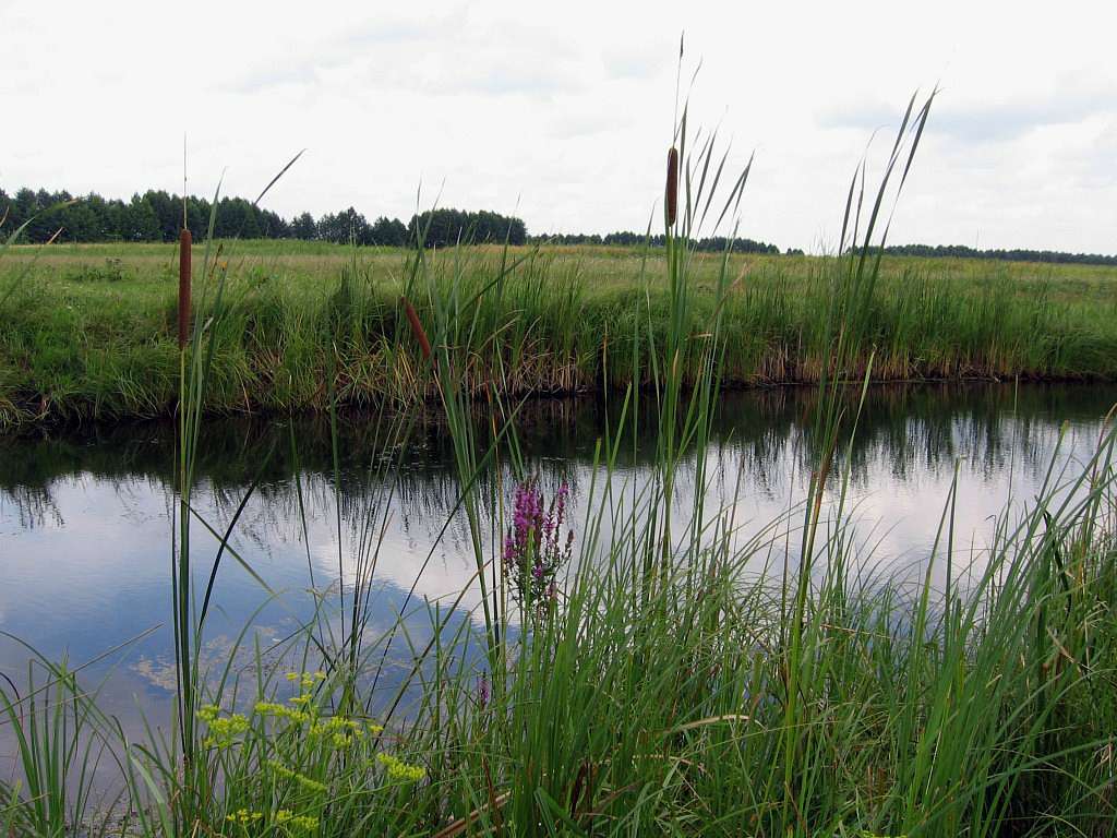 Рідні оку краєвиди - Любар