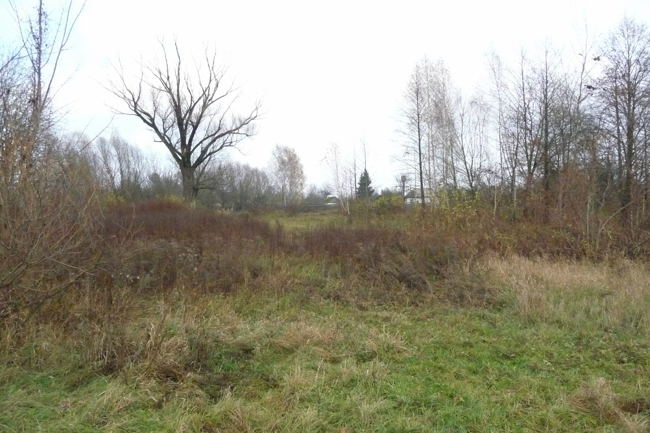 моя комаровка - Комаровка