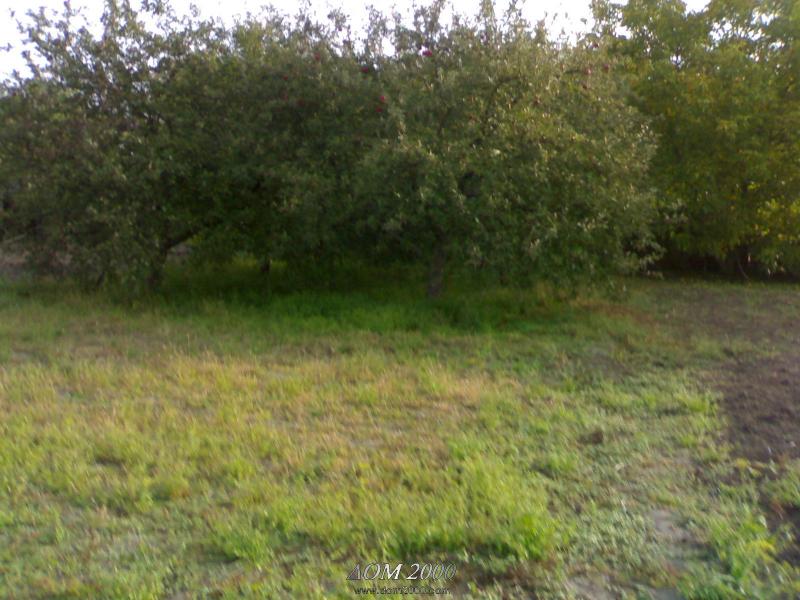 Телешівка в інтернеті - Телешівка