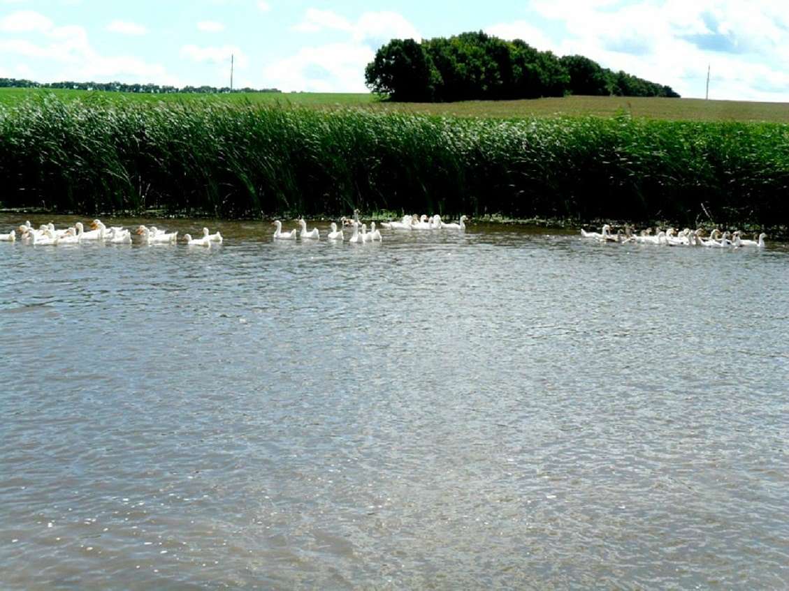 Краєвиди села. - Саверці