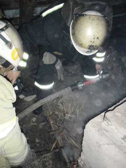 Хацьки в інтернеті - Хацьки