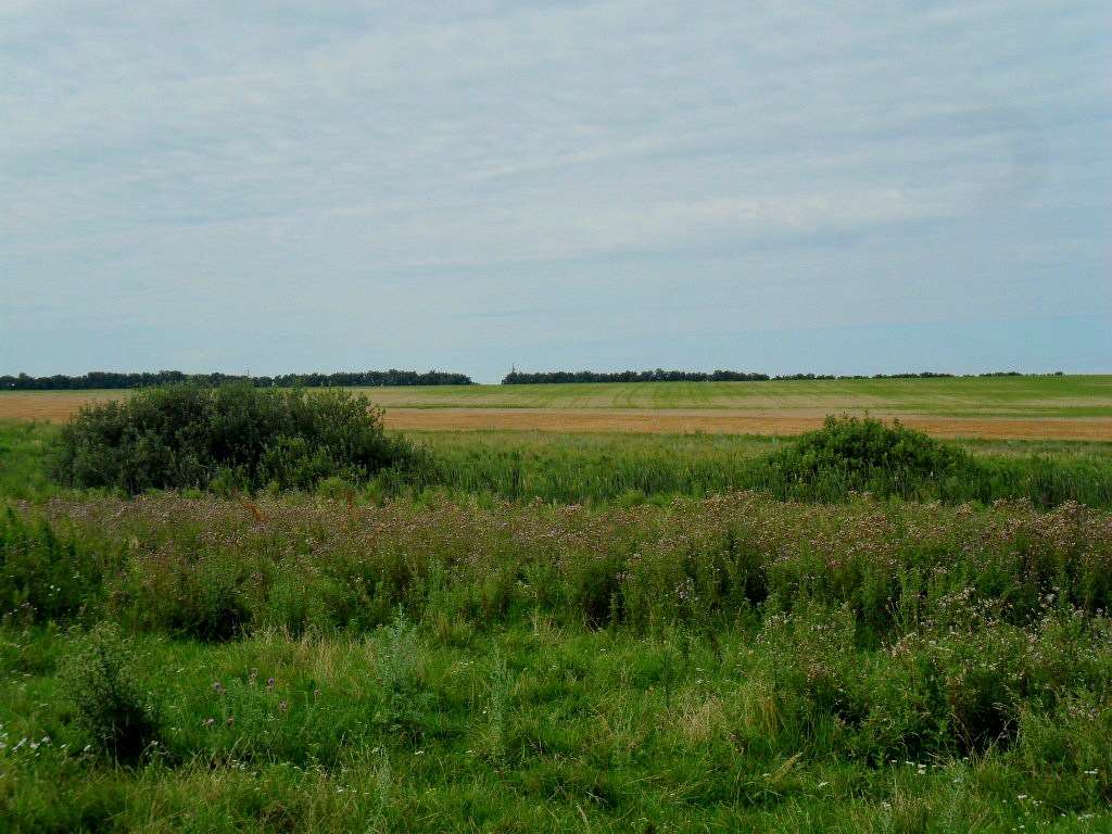 Краєвиди села. - Саверці