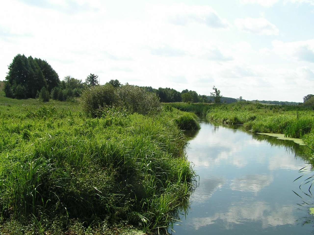 c. Сущанка природа - Сущанка