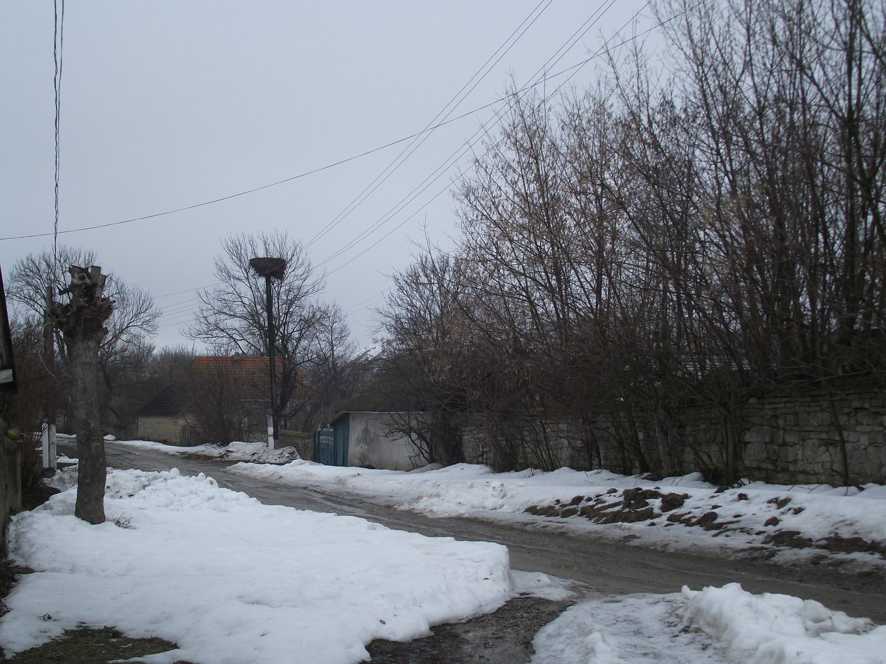 весна 13 - Шустівці