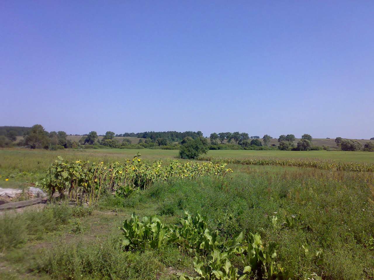 c. Сущанка природа - Сущанка